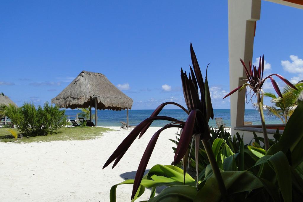 Mayan Beach Garden El Placer Exterior foto