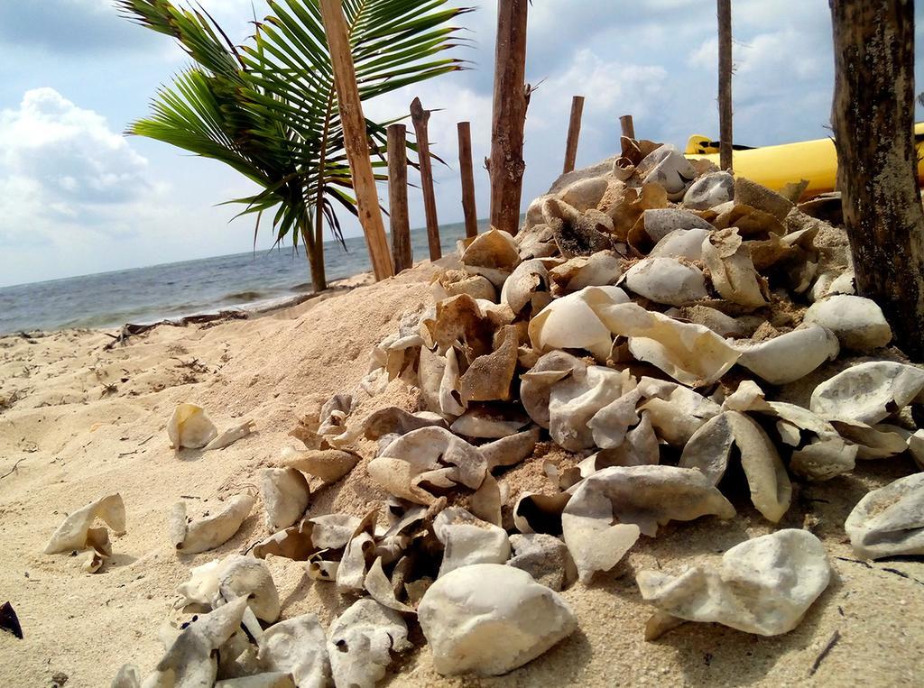 Mayan Beach Garden El Placer Exterior foto